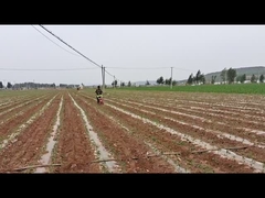 전체 치아 조합 농장 토양 준비 기계 토양 농업 장비